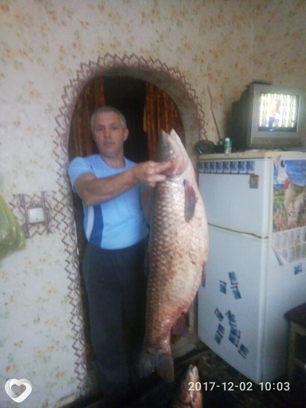 Владимир