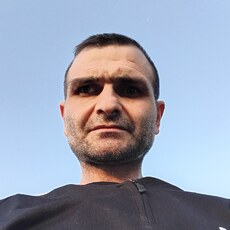 Платоша