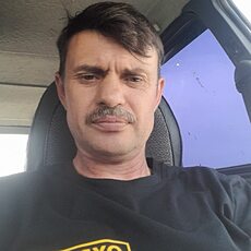 Гена