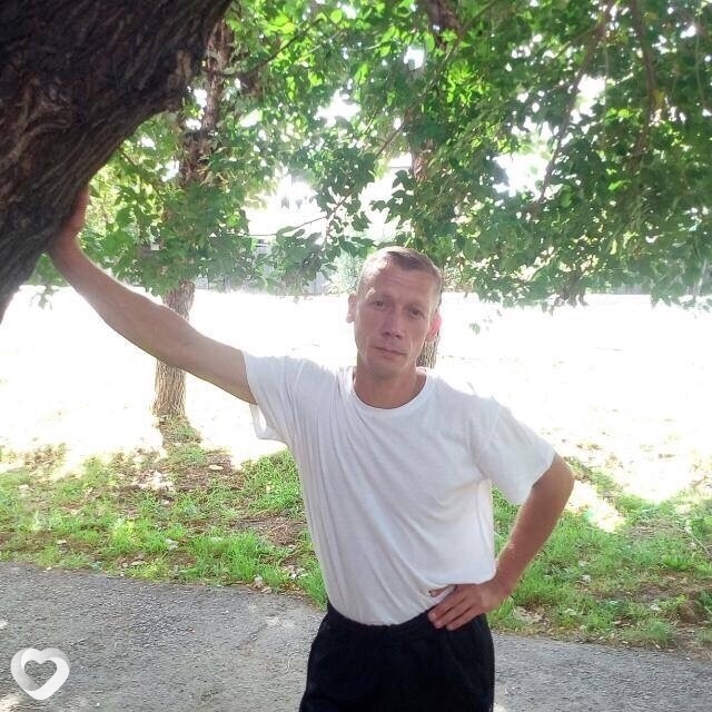 Альбик