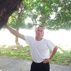 Альбик