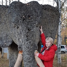 Сеня