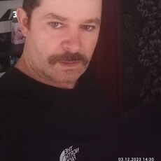 Всеволод