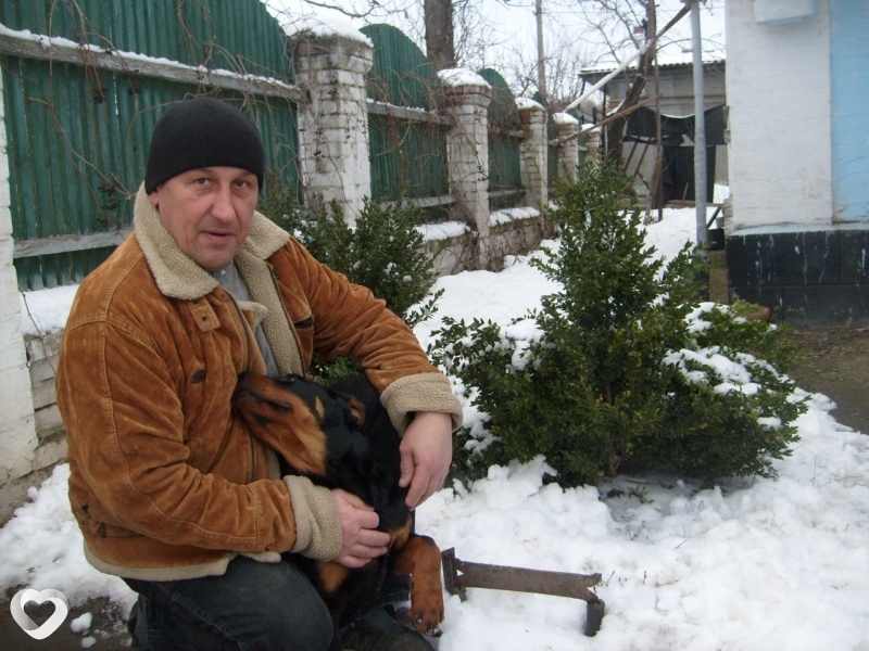 Тимур