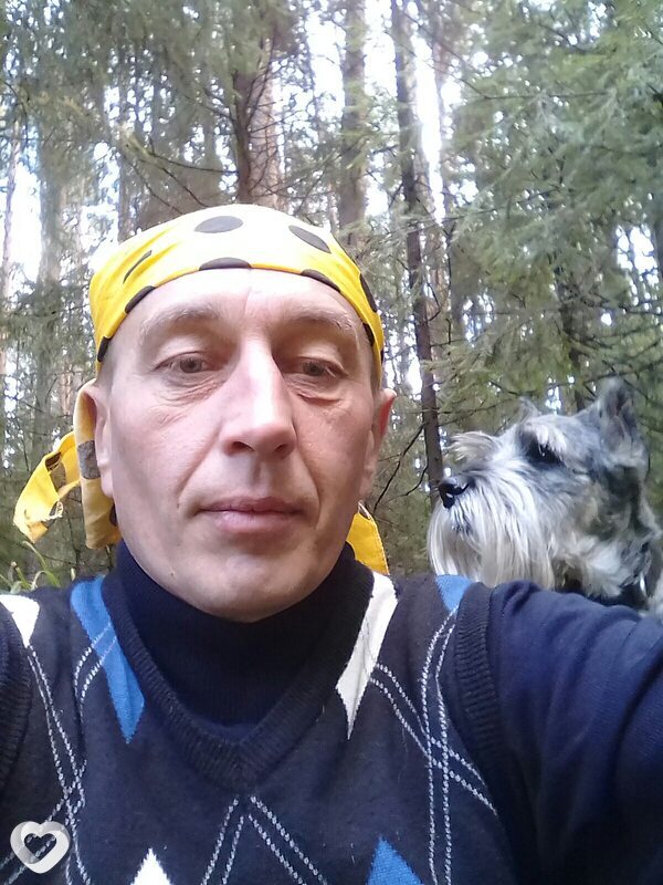 Всеволод