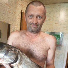 Тим