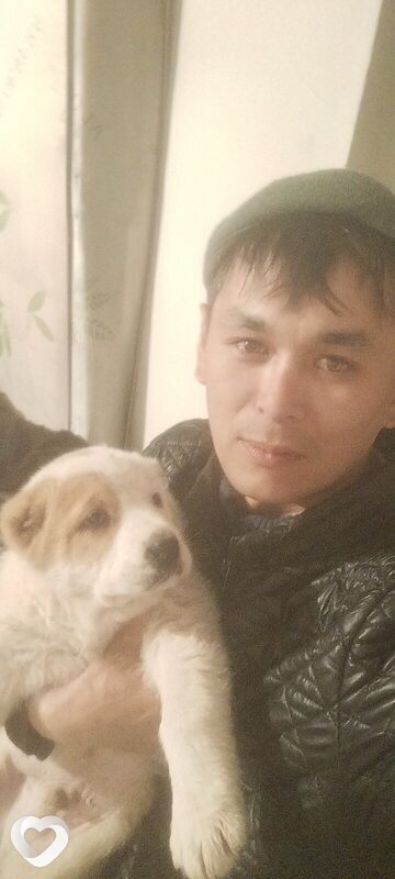 Дима