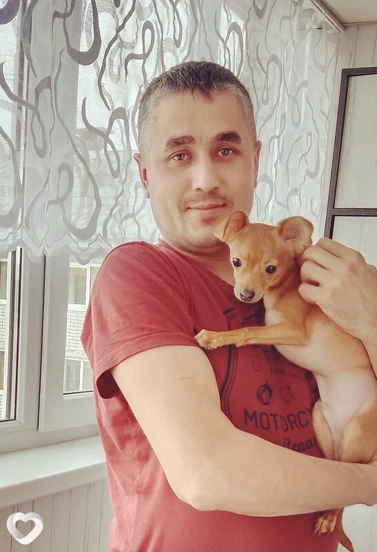 Захарка