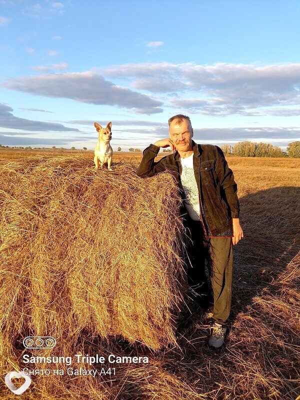 Лев