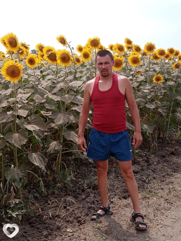 Всеволод