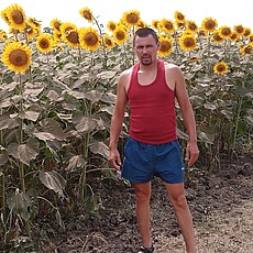 Всеволод