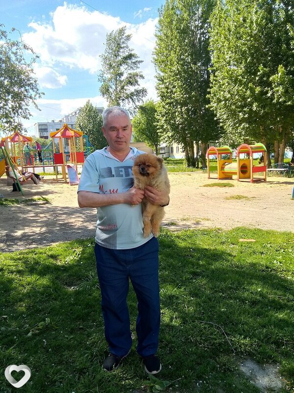Гоша
