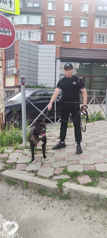 Матвей