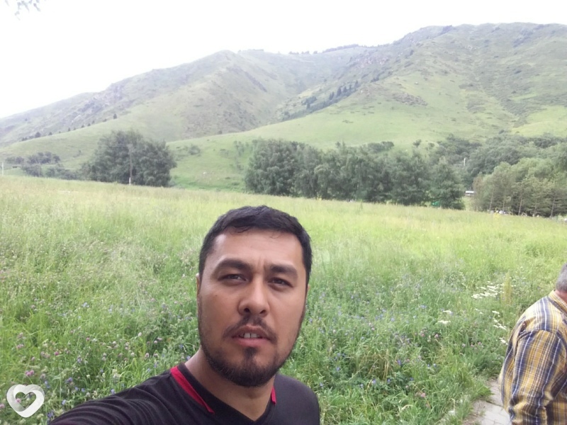 Альбик