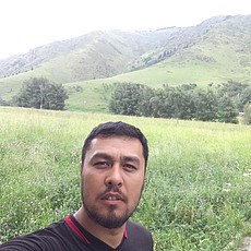 Альбик