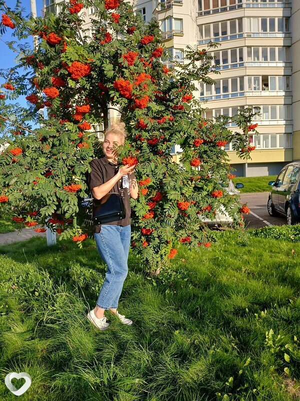 Сюзанна