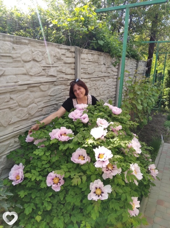 Ксения