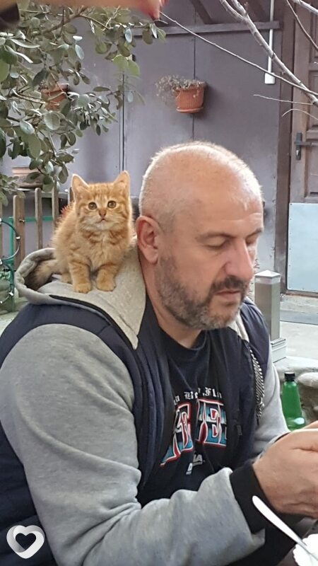 Юлиан