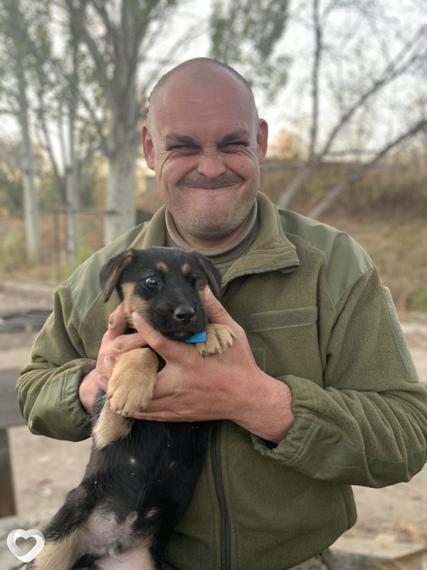 Донат