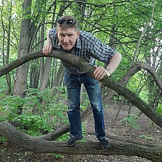 Прохор