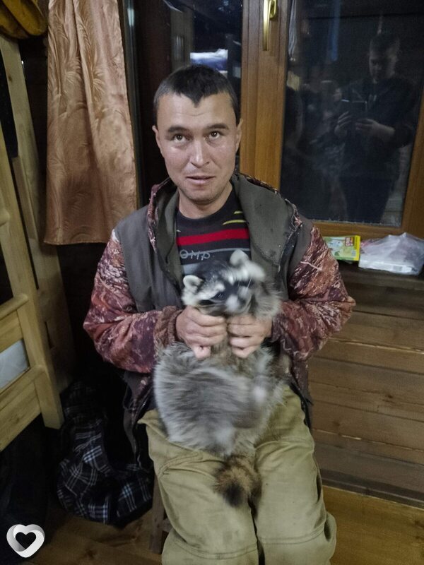 Лев