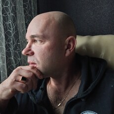 Давид
