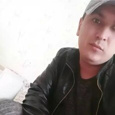 Альбик