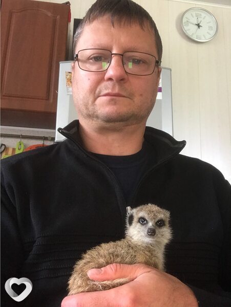 Вова