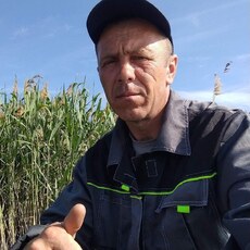 Альбик