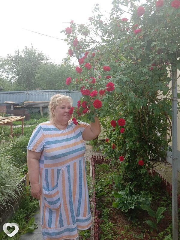 Сеня