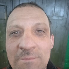 Альбик