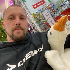 Нестор