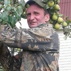 Всеволод