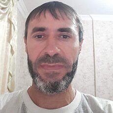 Альбик