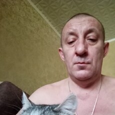 Тим