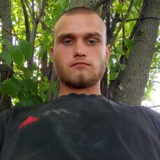 Альбик