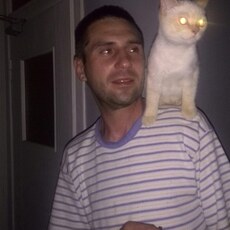 Платон