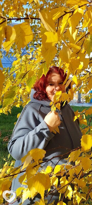 Снежа