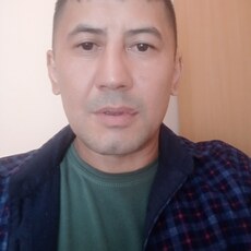 Платоша