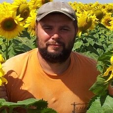 Вова