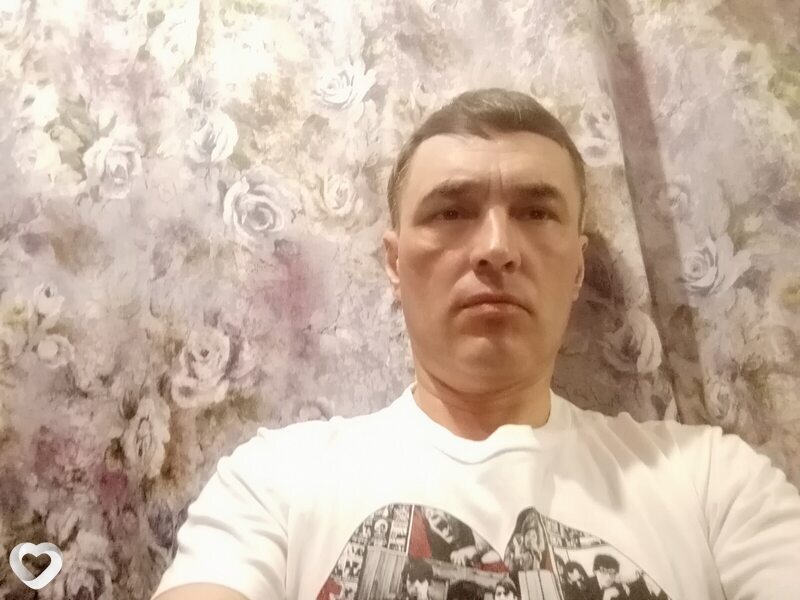 Лев
