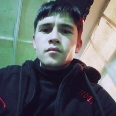 Платоша
