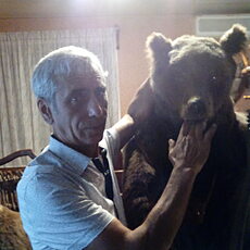Гаврик