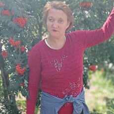Нэса