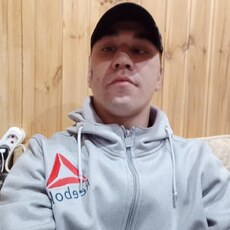 Нестор