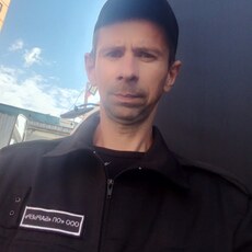Гаврик