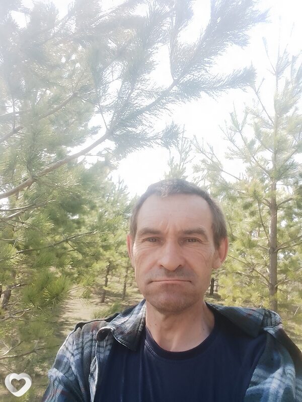 Давидик