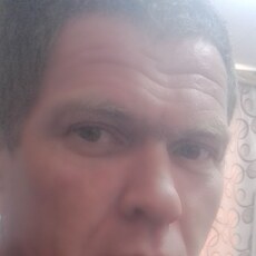 Давид
