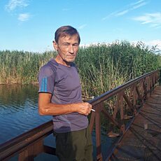 Гаврик