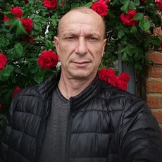 Платоша